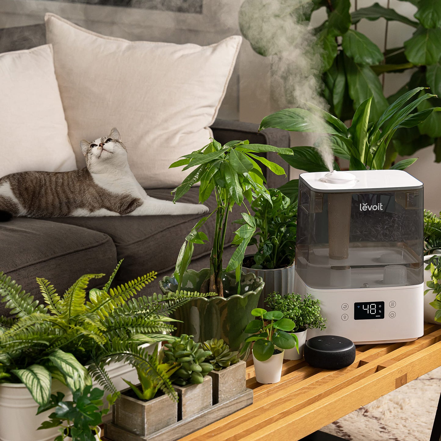 Levoit Smart humidifier for large rooms, top-fill humidifier, with APP & Alexa control, up to 47m², quiet room humidifier for bedrooms, children's rooms, plants, auto shut-off, 6 L, gray - Classic
