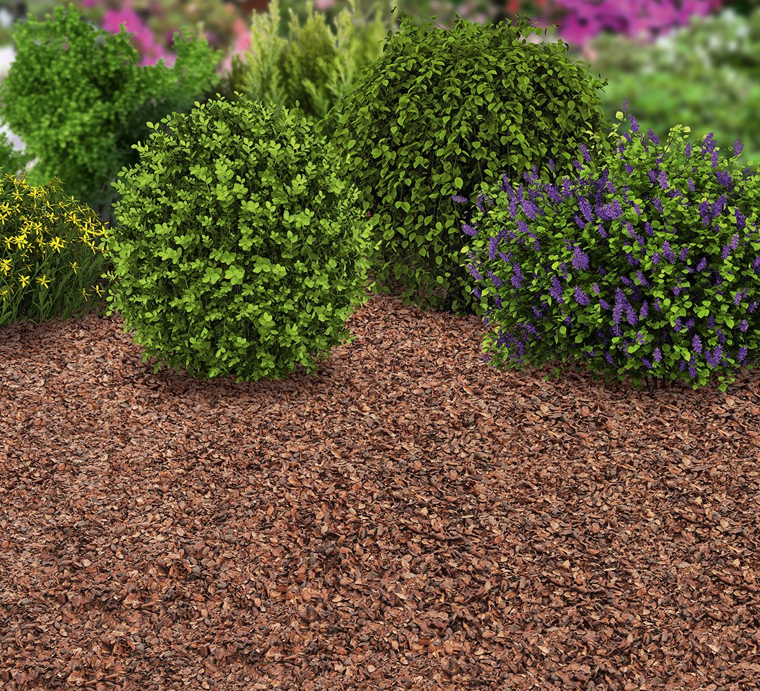 Floragard cocoa shell mulch 100 L (2×50 L) – natural mulching material & bark mulch alternative for planting areas, perennial & woody beds, rose beds & paths – suppresses weed growth - 115419