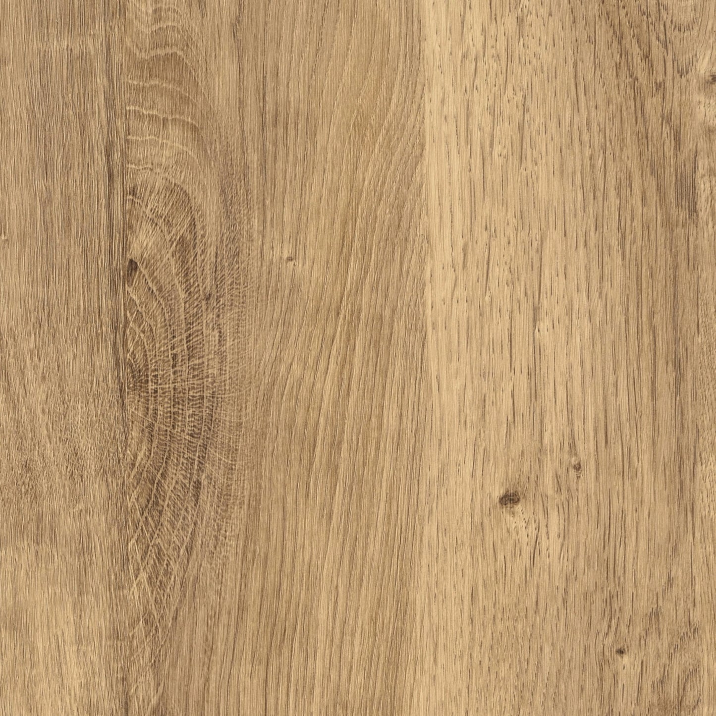 d-c-fix furniture adhesive film Ribbeck Oak, 67.5 cm x 15 m - washable and self-adhesive decorative film for kitchen, cupboard, table and windowsill - modern & sustainable - F2008286
