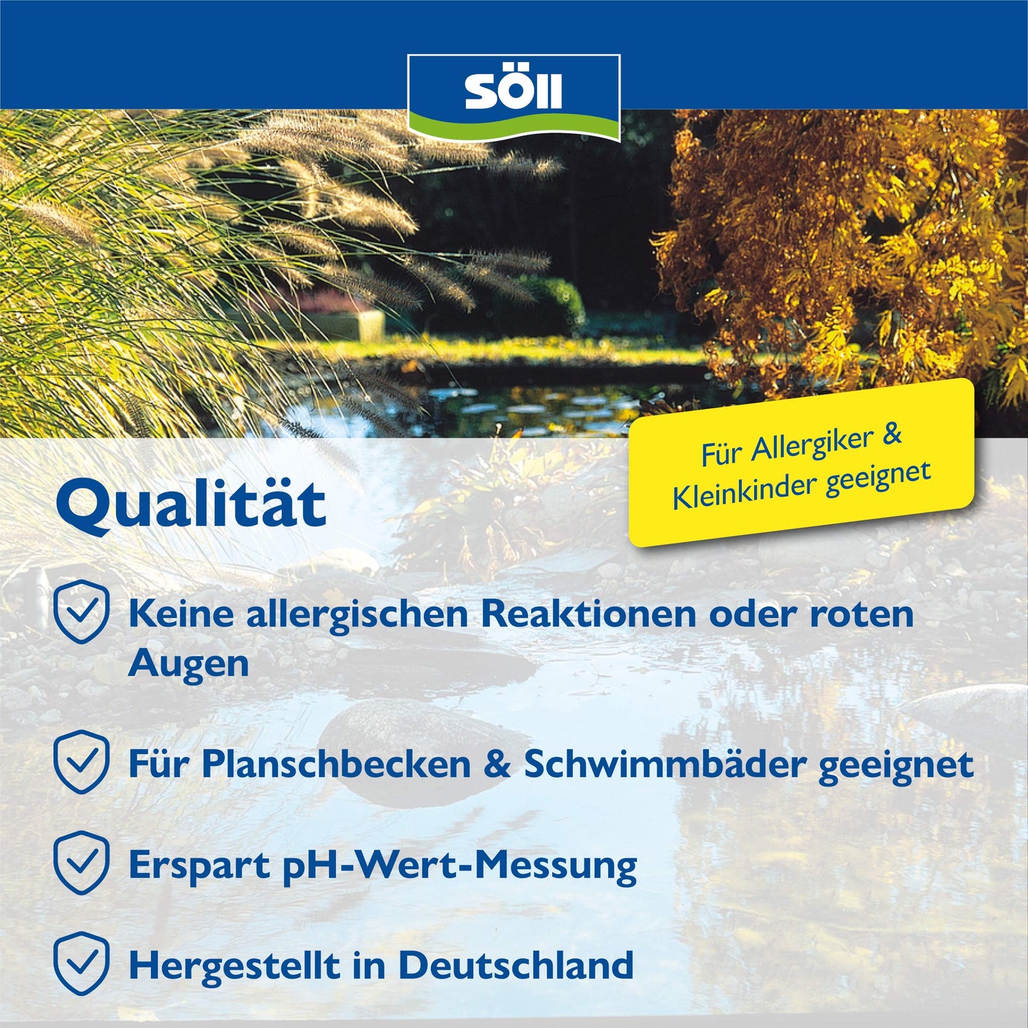 Söll 80426 AquaDes, 10 l - pool disinfection, pool cleaning, water care against bacteria and germs, disinfectant for pool paddling pool swimming pool children's pool