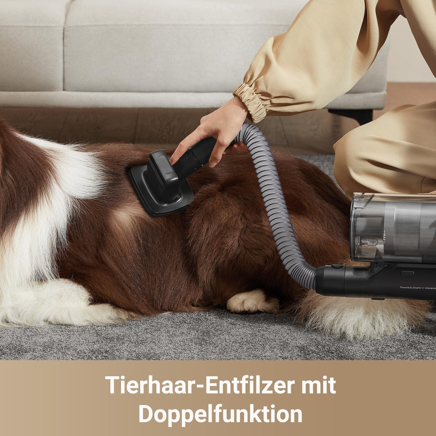 dreame Z30 Wireless Canister Vacuum Cleaner, 28,000PA / 310 AW Suction Power, 90 min Max Cleaning Time, Dust Reveal Technology, Pet Hair Removal Tool, Multi-Surface Suction Power, Dirt Detection - VZV17A