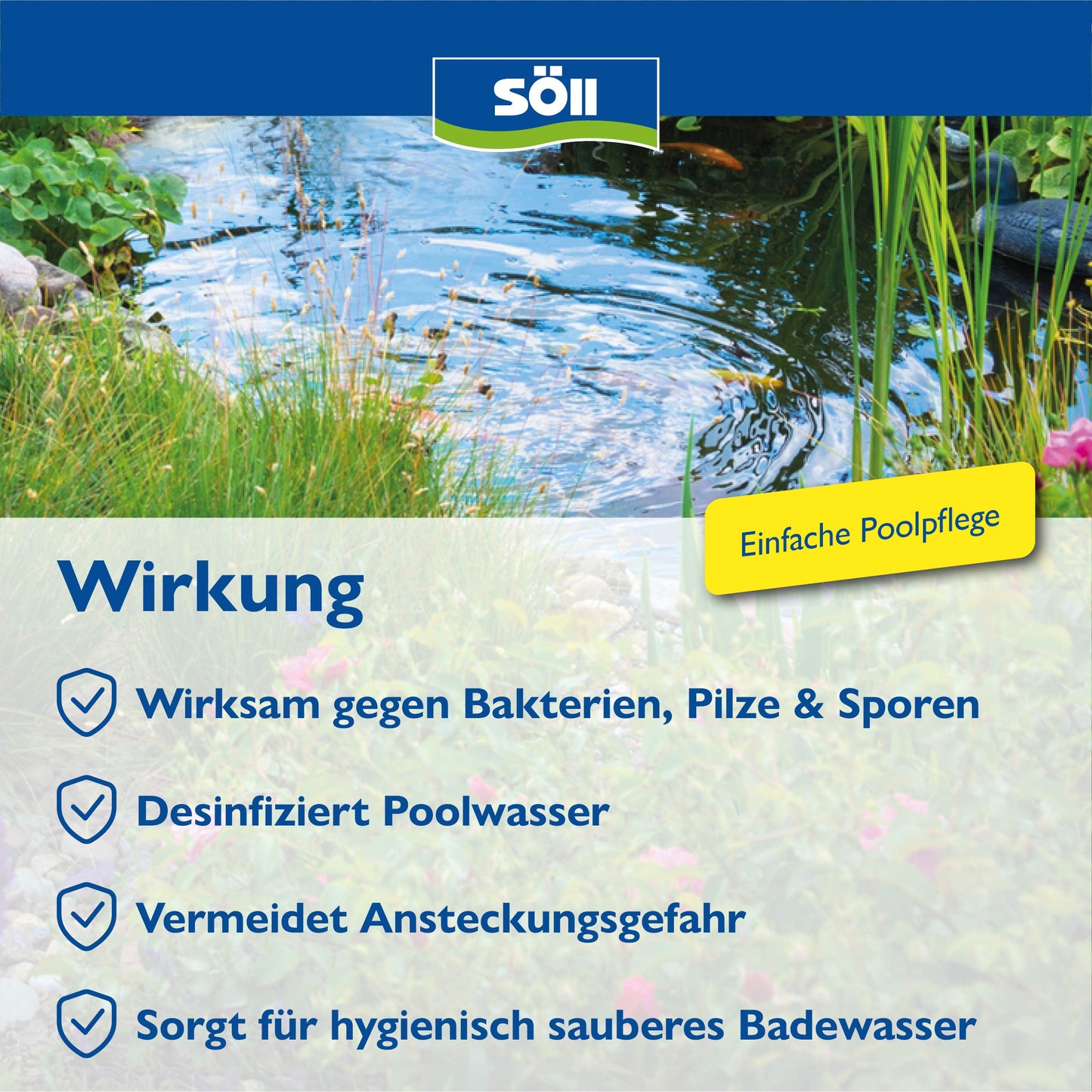 Söll 80426 AquaDes, 10 l - pool disinfection, pool cleaning, water care against bacteria and germs, disinfectant for pool paddling pool swimming pool children's pool