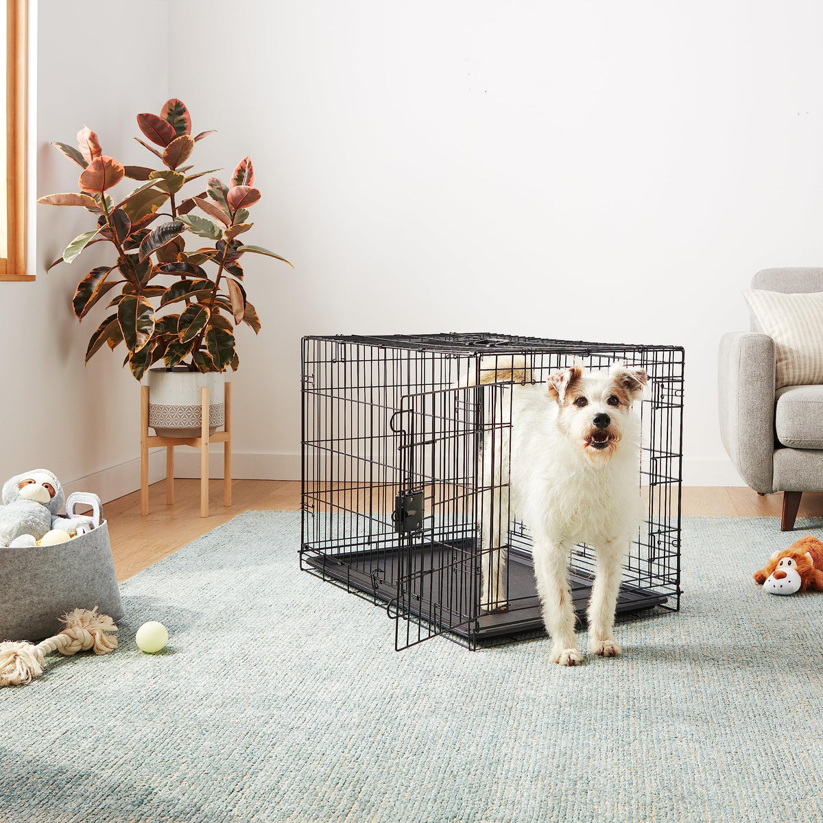 Amazon Basics Collapsible Dog Crate made of Metal Wire with Floor Tray, Double Door, Black, L 91 x W 58 x H 64 cm - 9001N-36B