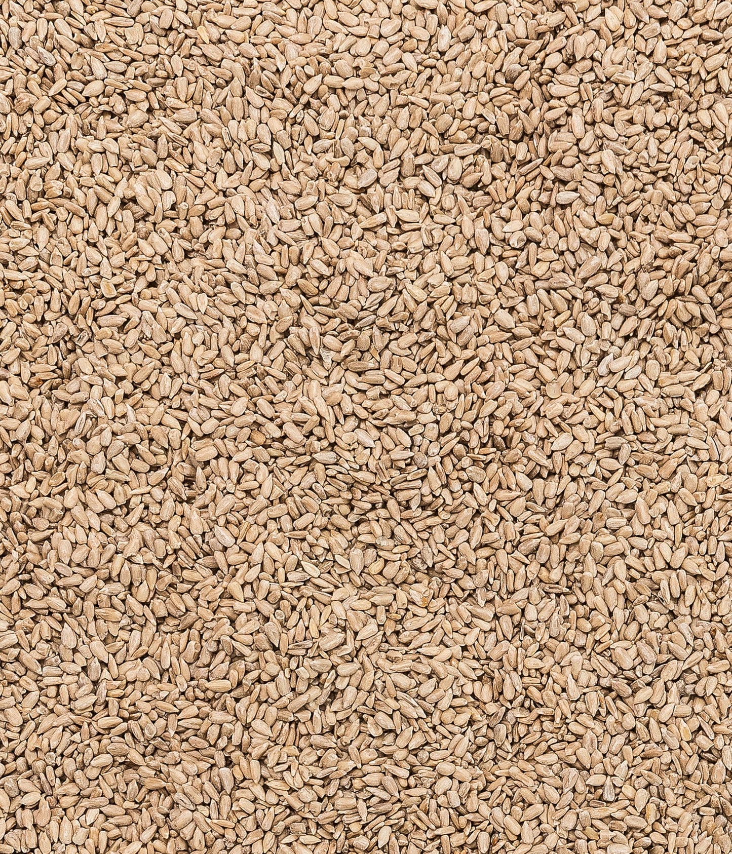 Dehner Natura Premium wild bird food, sunflower seeds shell-free, all-season food rich in protein / high in energy, high-quality bird food for wild birds, 10 kg - 5248349