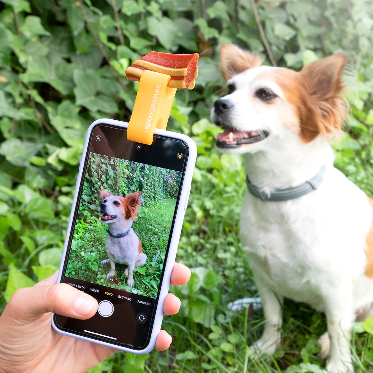 InnovaGoods Pefie pet selfie clip V0103357